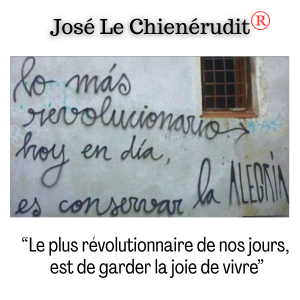 Réflexion sur la réactivité et l’intelligence dans l’éducation canine moderne  Entre limites, joie de vivre et résilience : quelle place pour le caractère du chien ?