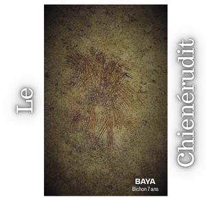 Les dessins de Baya : Quand l’art naît sous les pattes d’un chien