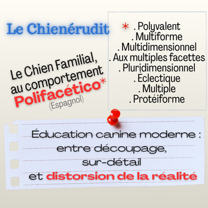 Éducation canine moderne : entre découpage, sur-détail et distorsion de la réalité