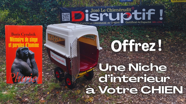 Le Comportement de Homing chez le Chien