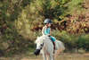 Cheval equitherapeute Alpes Maritimes