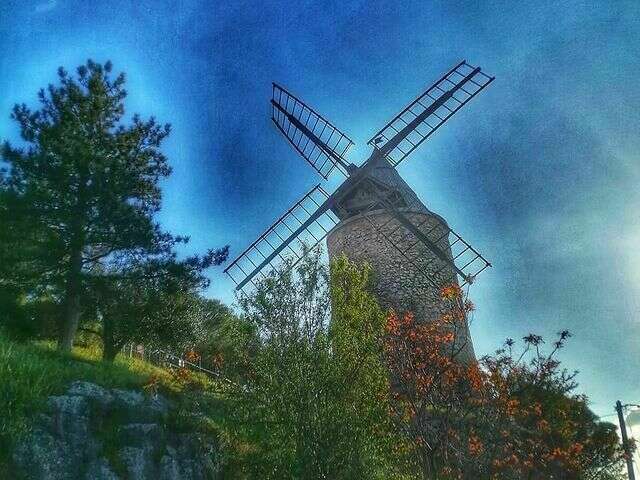 175575699_263817755483183_5467863130059910041_n20210720-1044791-yn4g66