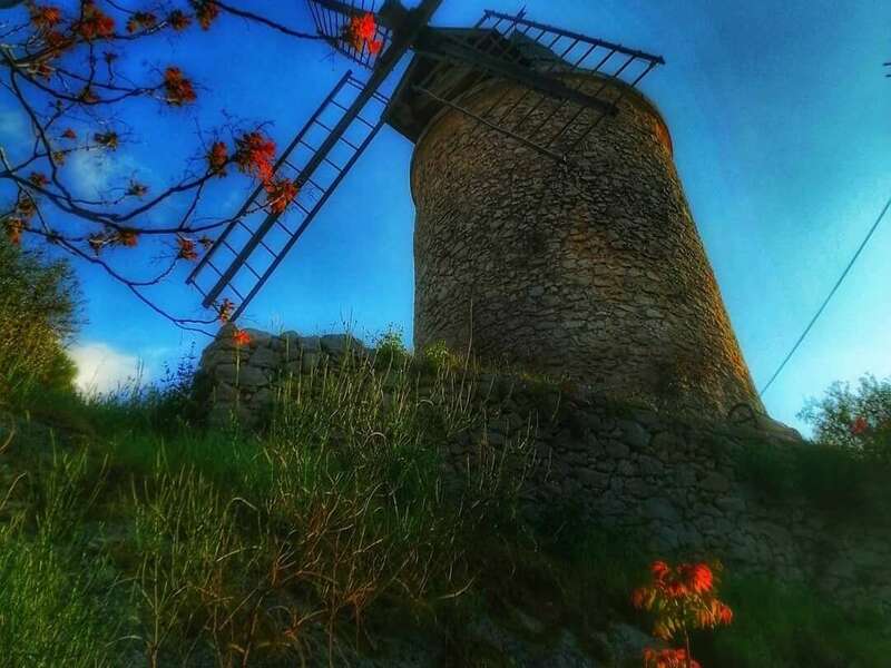 175709855_465944324694189_2210644465157233974_n_1_20210720-1044791-1igl2pb