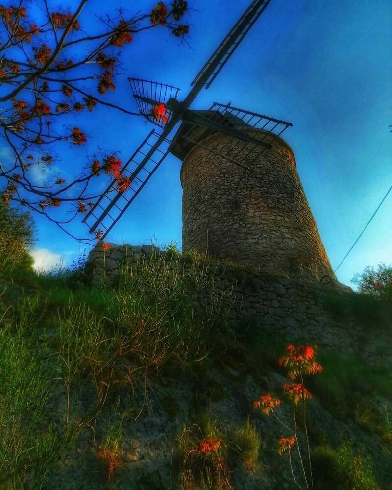 175709855_465944324694189_2210644465157233974_n_1_20210720-1044791-1igl2pb