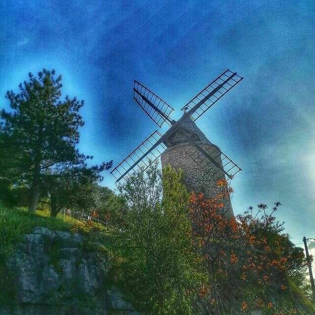 175575699_263817755483183_5467863130059910041_n20210720-1044791-yn4g66