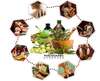 Soin Panchakarma Abhyanga — cure ayurvédique Madhavi Kerala