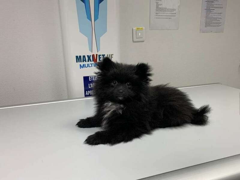 bv320221229-3658758-1gofemj