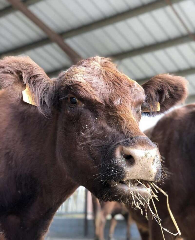 bv120221229-3658758-tdlyj6