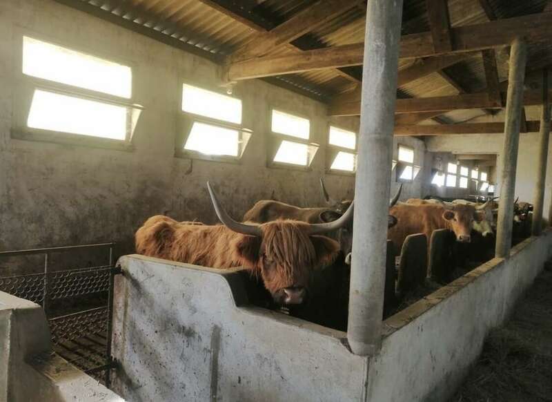 bv220221229-3658758-19305gu