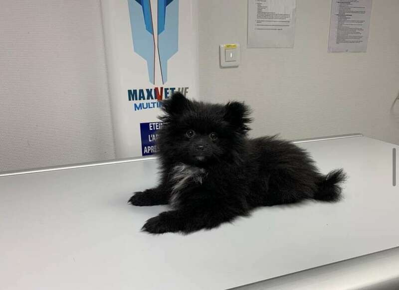 bv320221229-3658758-1gofemj