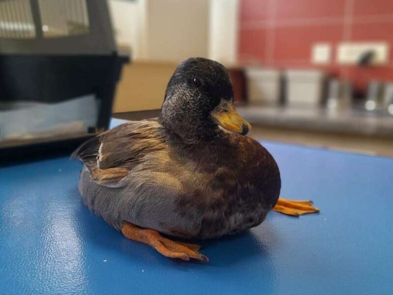 9901f4a3-dad3-46f9-a17b-e1debec78842