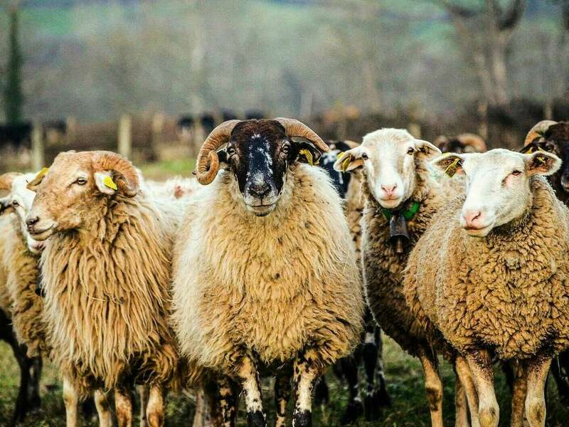 thumbnail_19d21a6b-bd93-4161-aa79-c6aae98ee0bb