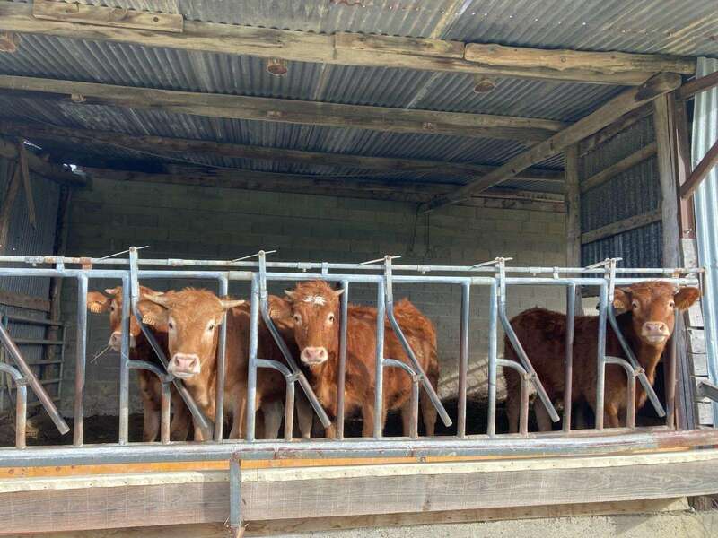 9b99e667-2a2c-4c77-b86a-396ea7ed0bce