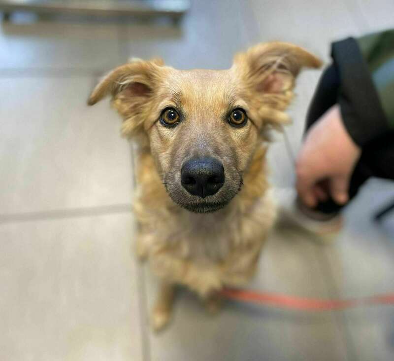 3fb11f67-51c0-4dce-b4c4-029f33c2b6ae