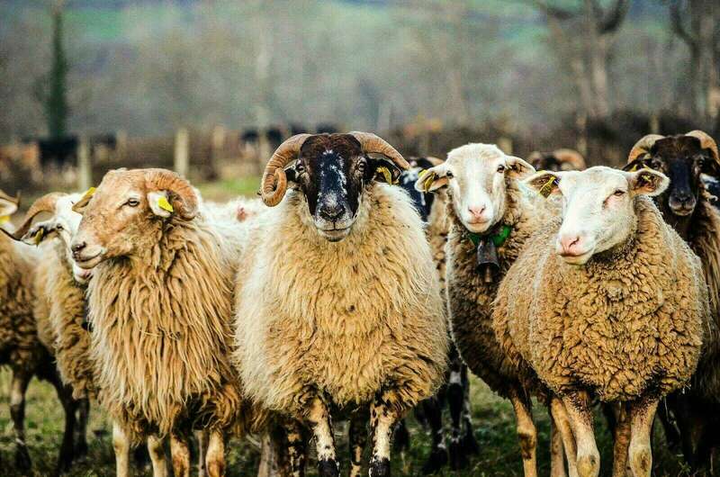 thumbnail_19d21a6b-bd93-4161-aa79-c6aae98ee0bb