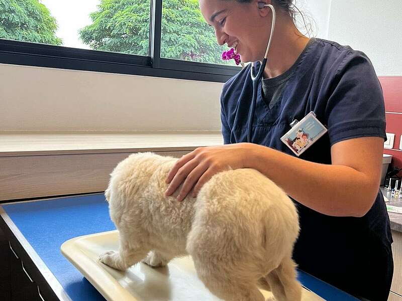 dd11a5ca-eece-4ff2-bbcc-618f5e1e0048