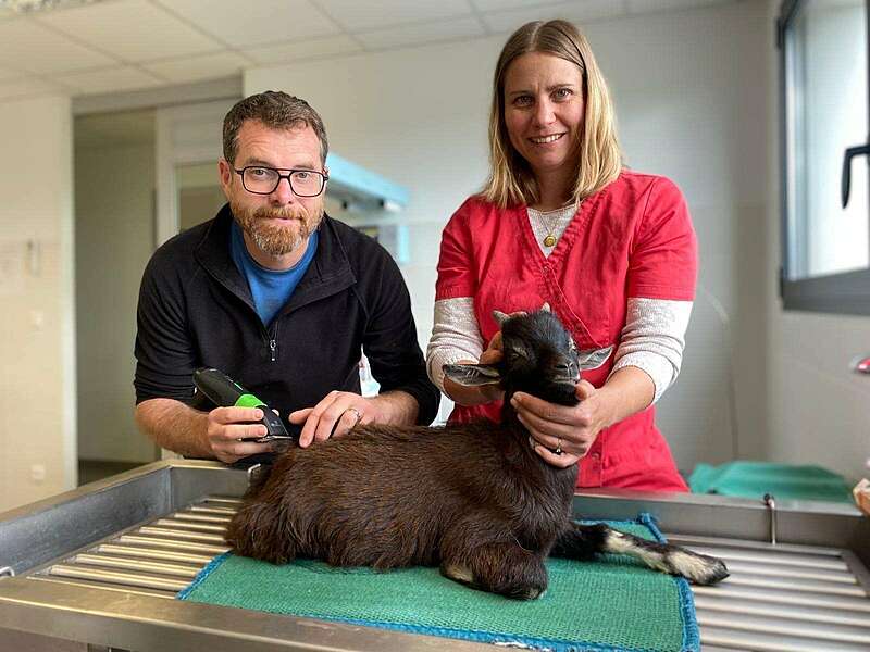 22f62be8-7ba5-4d62-9339-d68d0b1d0103