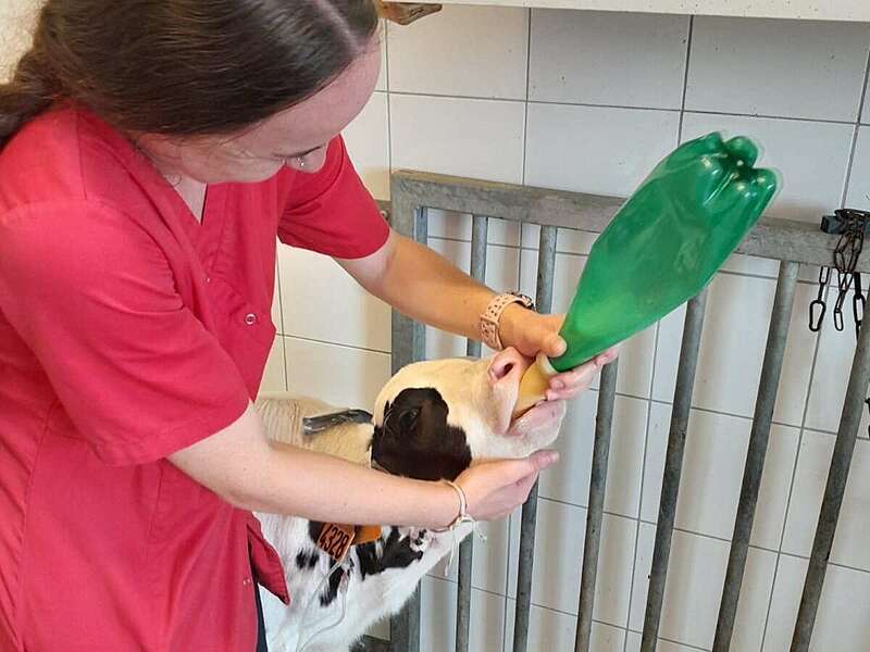 5bb402d2-bb79-432e-ac60-55ca95d2f14b