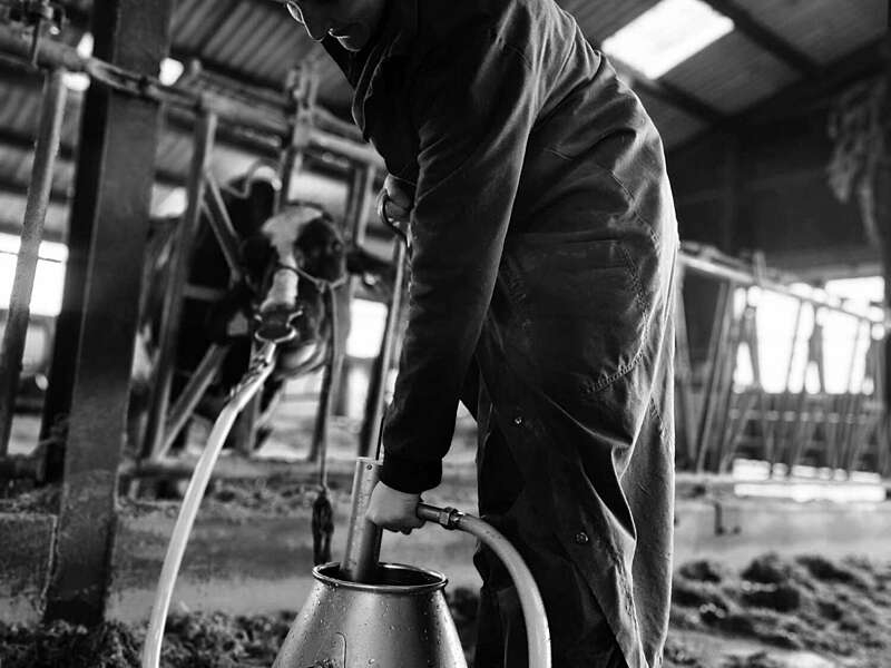 2c0ff943-dcf4-401b-991e-902c7d527cde