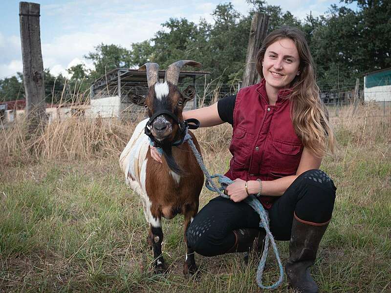 3a0df776-ae3f-4f4c-9e48-75317ca89289