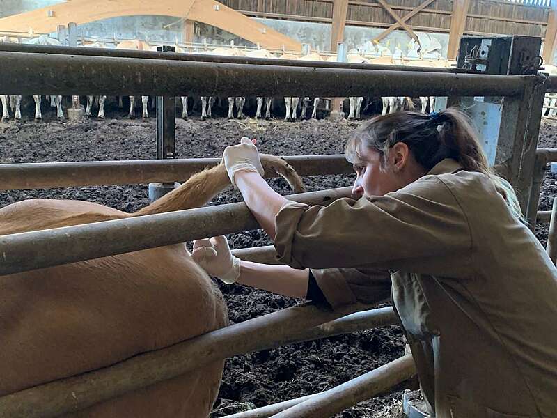 db714c6b-c59c-45fb-b390-8d1be3da5903