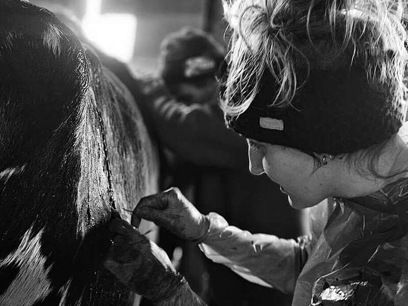 ecb078d3-31d1-44e7-92d7-ecd2b9677549