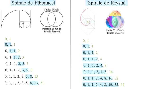 Spirale Fibonacci Vs Spirale Krystal Blog