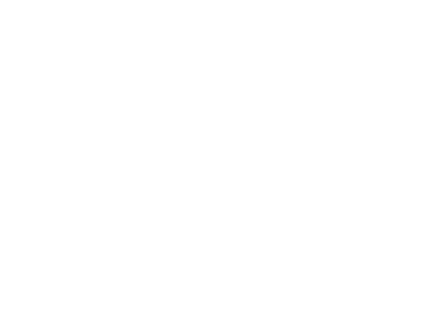 ATLANT SERVICES logo