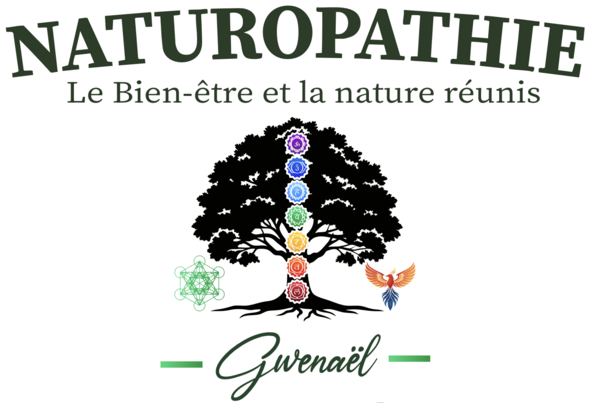 Logo Gwenaël Naturopathe Logo Gwenaël Naturopathe
