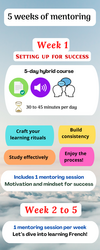 Online French classes 