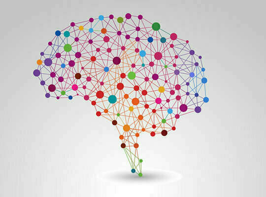 Rééduquer notre cerveau pour sortir de la crise écologique