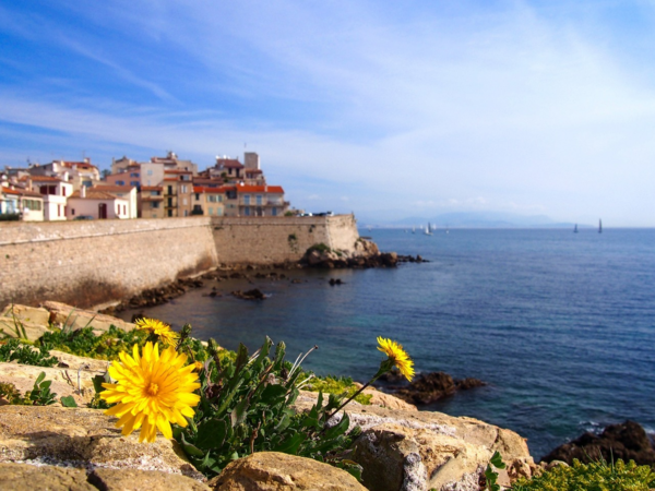 Découvrir Antibes