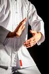 Qi Gong Dao Yin