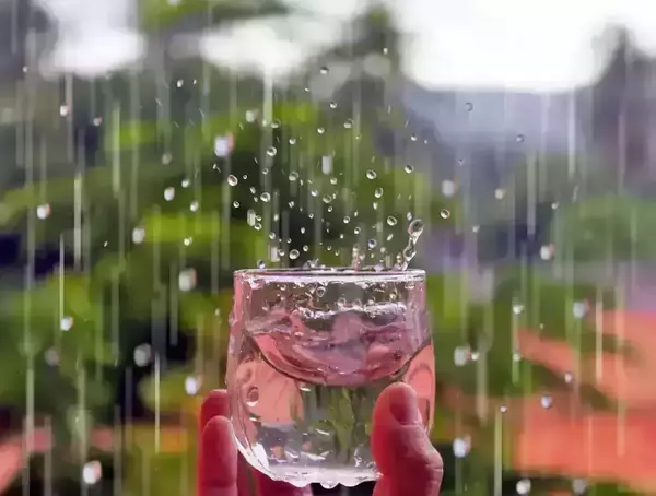  Guide complet sur l'utilisation sécurisée de l'eau de pluie.