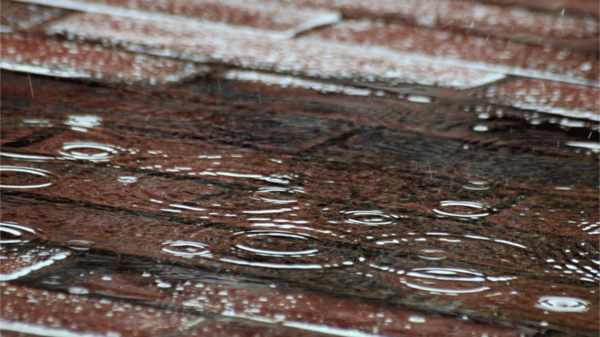 Le traitement et l’assainissement des eaux pluviales : enjeux et solutions