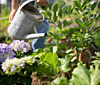 Jardinage