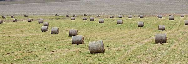 Comment les citernes souples aident les agriculteurs à faire face aux restrictions d’eau ?