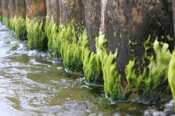 Stocker l’eau de forage sur une exploitation agricole : solutions souples et modulables
