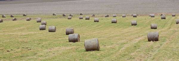 Stockage du purin : quelle solution souple et conforme pour les exploitations agricoles ?
