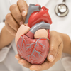 Maladies cardiovasculaires, Cabinet dentaire Paris 8 