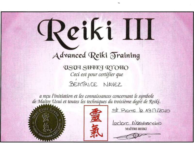 navez_beatrice_reiki_iii_page_120201125-3378172-dsx7lg