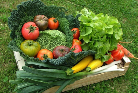 Comment consommer plus de légumes