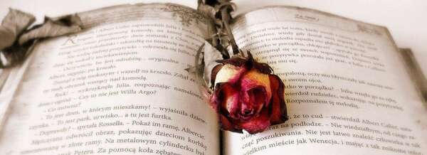 Christophe Pichon, Psy et Sexothérapeute, vous reçoit à Paris 75017