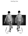 score Ankle-GO