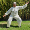 pratique tai ji quan harmonie mouvement
