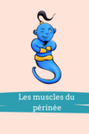 fiche d'anatomie muscles  du périnée homme femme