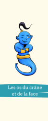 fiches anatomie je suis un, genie osteologie crane et face