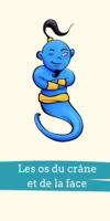 fiches anatomie ostéologie crane et face  je suis un génie