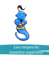 fiches anatomie coupe membre superieur 