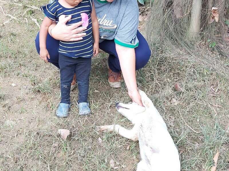 3cb55a3f-cb83-4745-85c0-bde28cb4ac94